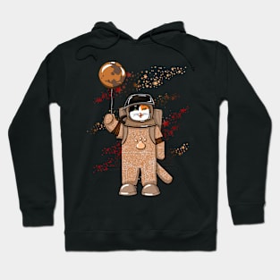 Astronaut cat Mars Hoodie